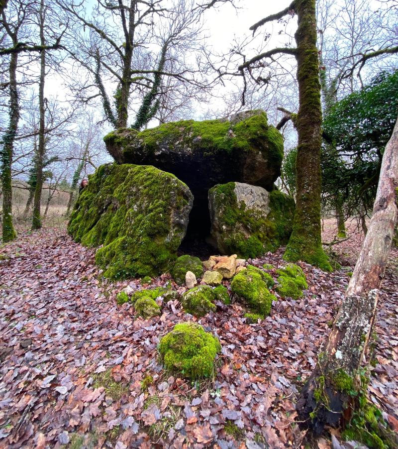 Site archéologique du dolmen du Roc de la Françoune
