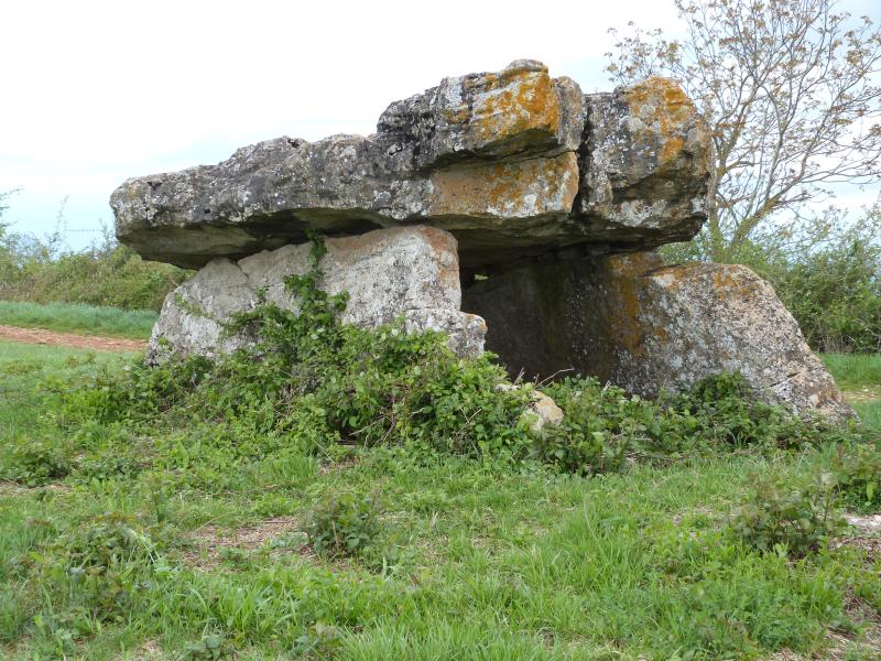 Site archéologique du dolmen de Pérignagol I