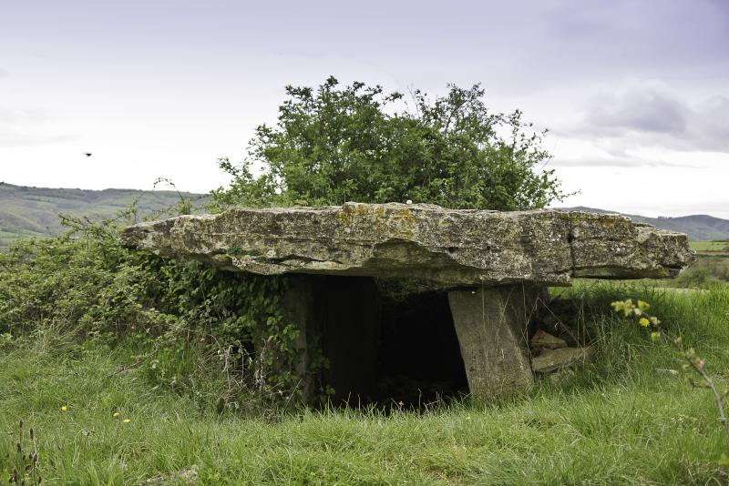 Site archéologique du dolmen de Saplous II