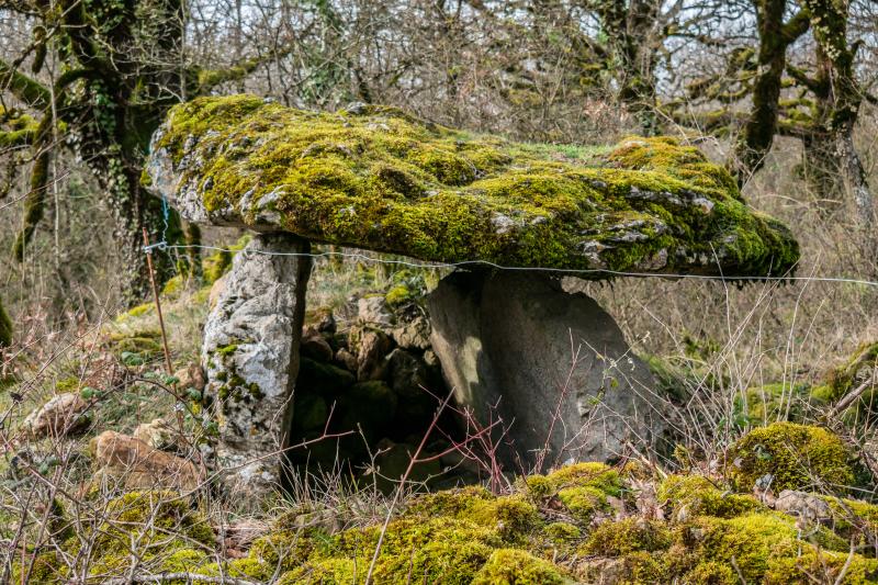 Site archéologique du dolmen de Seveyrac ou de Perignagol II