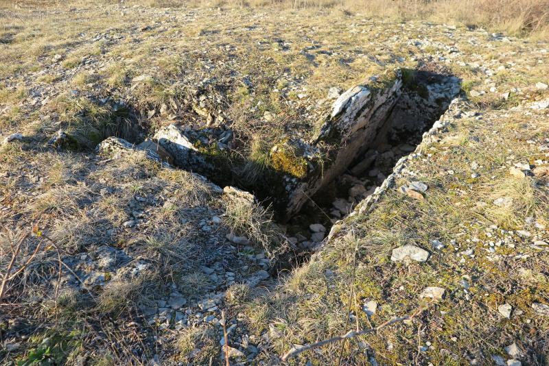 Site archéologique du dolmen III des Vézinies