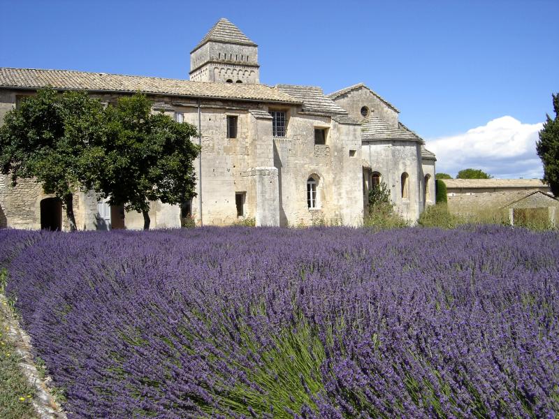 Ensemble formé par l'ancien monastère Saint-Paul de Mausole et la maison de santé Saint-Paul