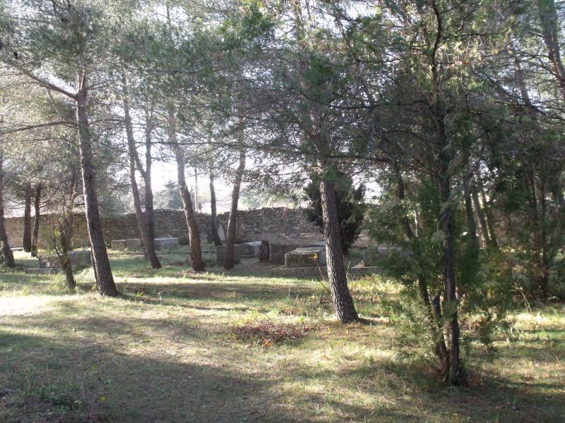 Cimetière israélite, dit aussi cimetière des juifs ou cimetière juif