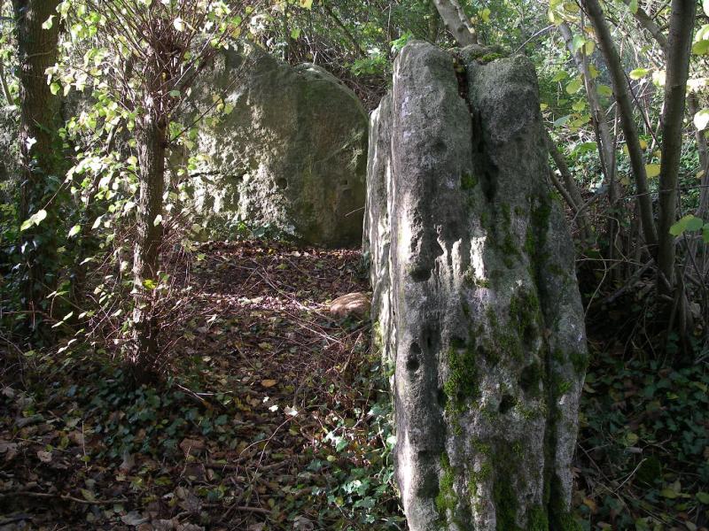 Mégalithe dit Les Pierres branlantes