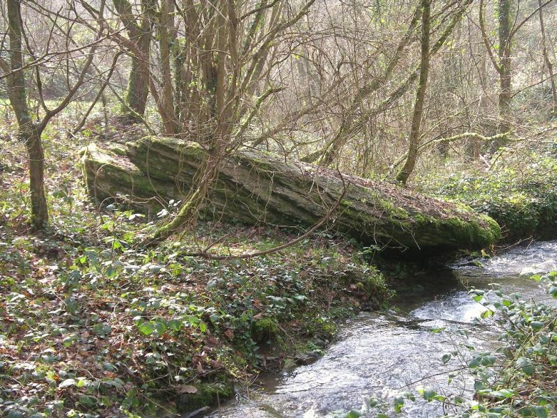 Menhir dit La Belle Roche