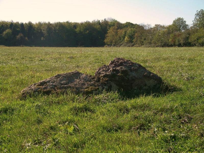 Menhir dit La Pierre Tournante ou La Pierre du Camp Bérot