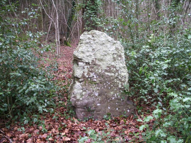 Menhir dit La Pierre Tourneresse, situé dans le parc du château d'Outrelaize