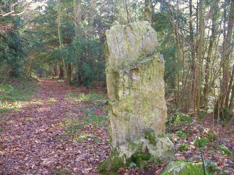Menhir dit la Roche Piquée