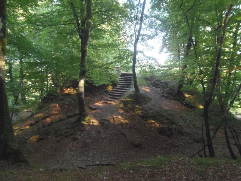 Motte castrale, Noues de Sienne