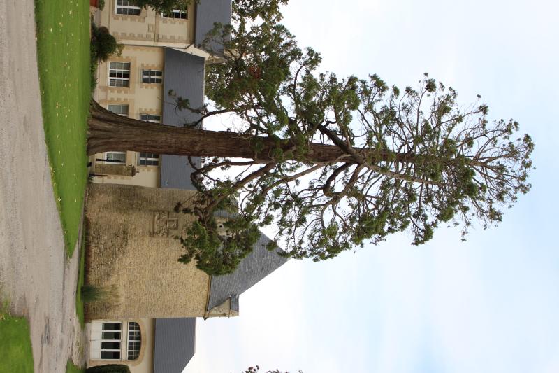 Ancien château de Boissy