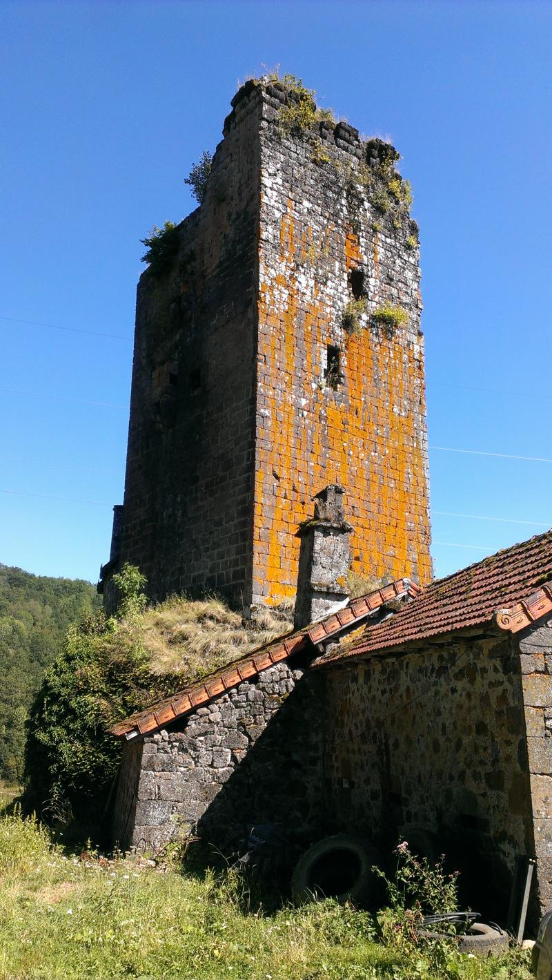 Tour-donjon de Marze