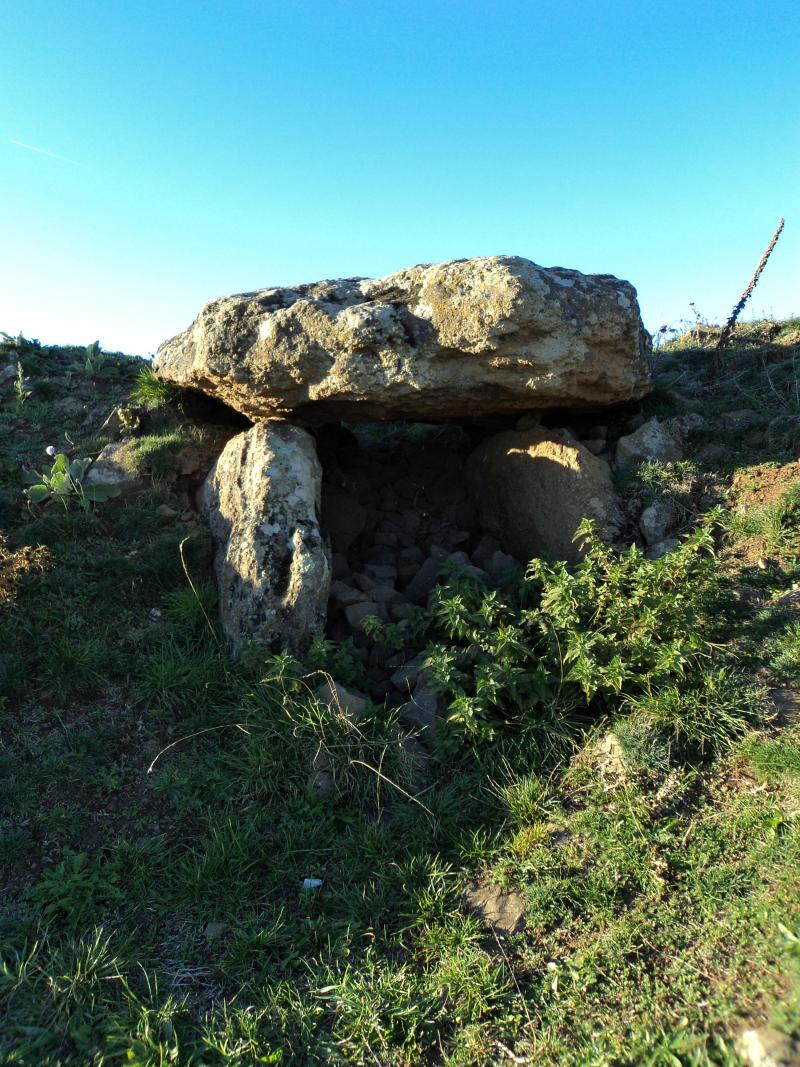 Dolmen du Chausse