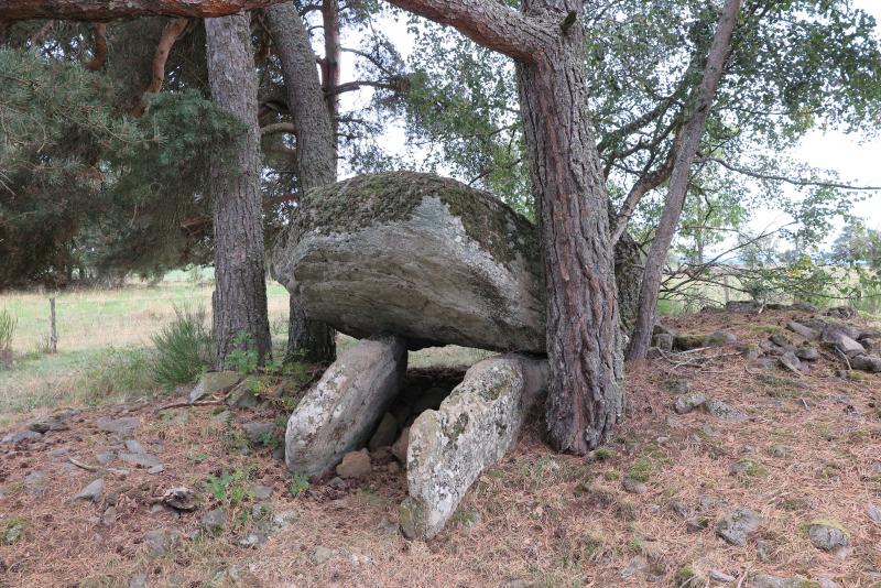 Dolmen d'Alleuzet