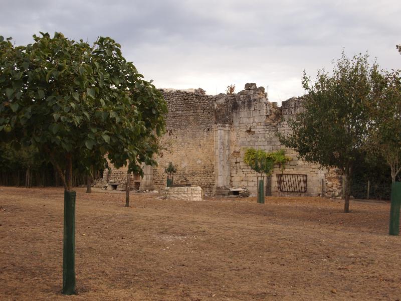 Ancienne église Notre-Dame de l'Houme