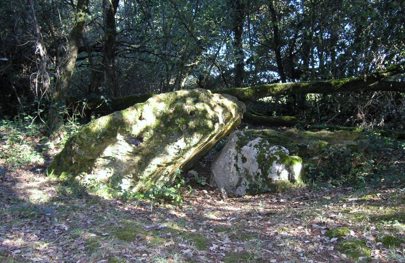 Dolmen effondré appelé La Pierre Levée de Berthegille