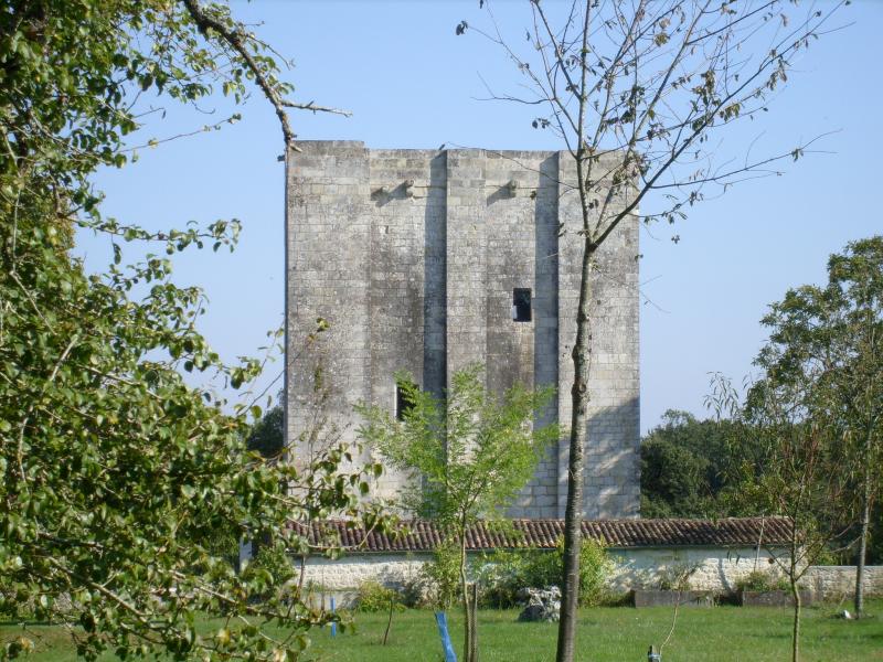 Ancien château, Saint-Sulpice-D'arnoult