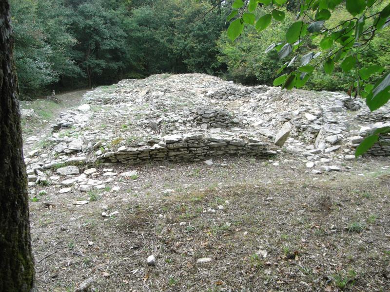 Tumulus B et C de Champ-Châlon