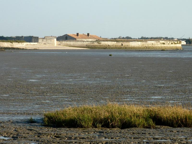 Fort Lapointe ou fort Vasou