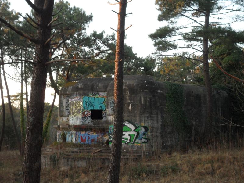 Batterie d'artillerie Rest Adler Cosel (le Requin)