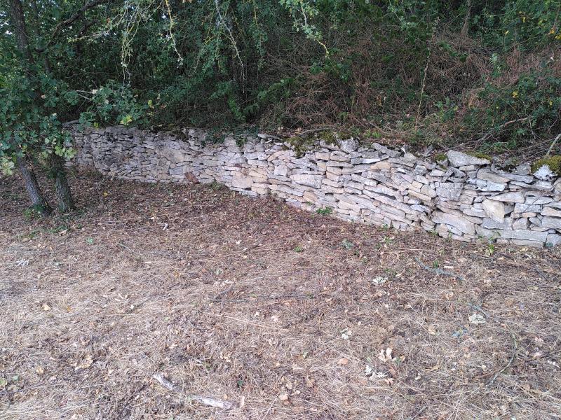 Rempart préhistorique de l'éperon barré