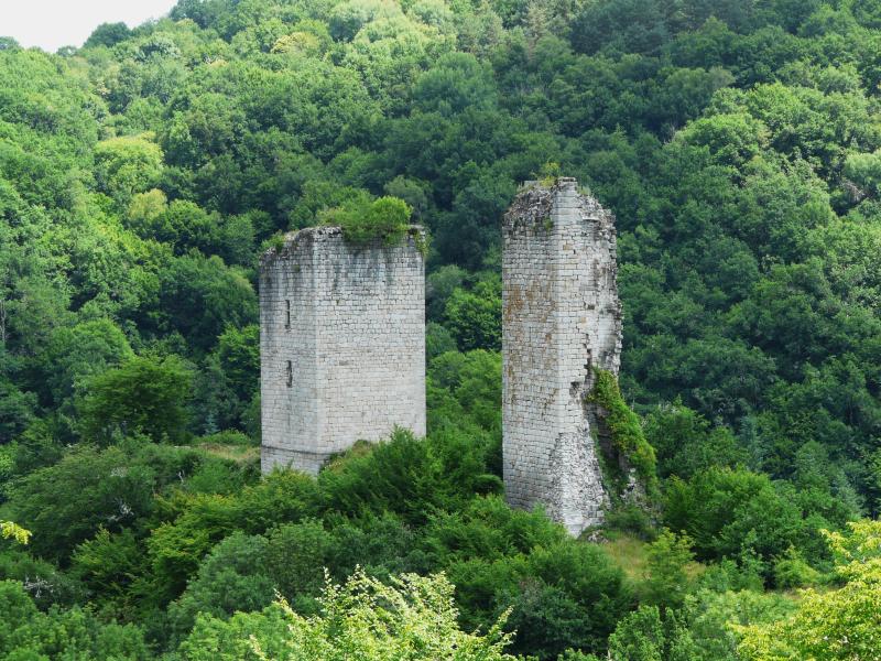Ruines des tours de Carbonnières