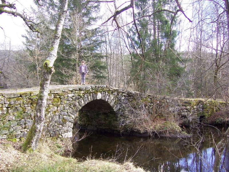 Pont de Varieras
