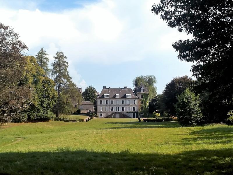 Façades et toitures des bâtiments du domaine du château de Neuvic d'Ussel, ainsi que le parc avec son mur d'enceinte et ses portails situés place de la Mairie