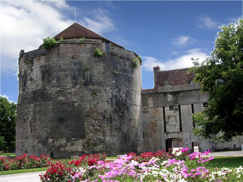 Château (ancien), Auxonne