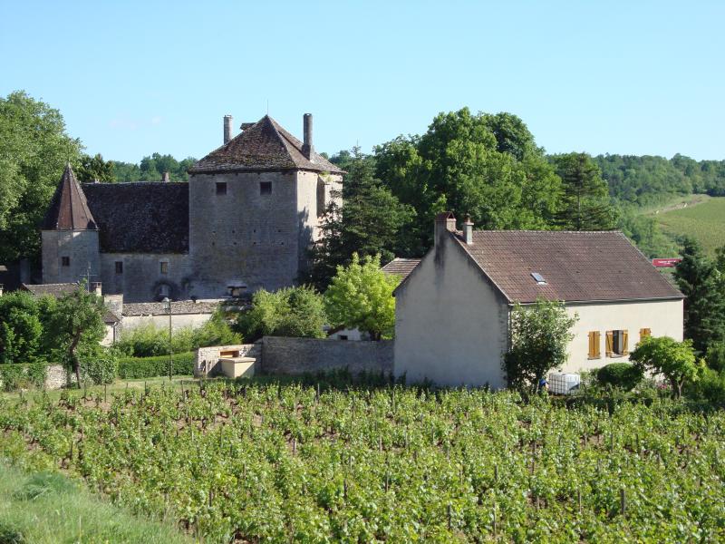 Château de Gamay, Saint-Aubin