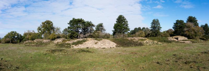 Camp de Myard ou Miard, Vitteaux