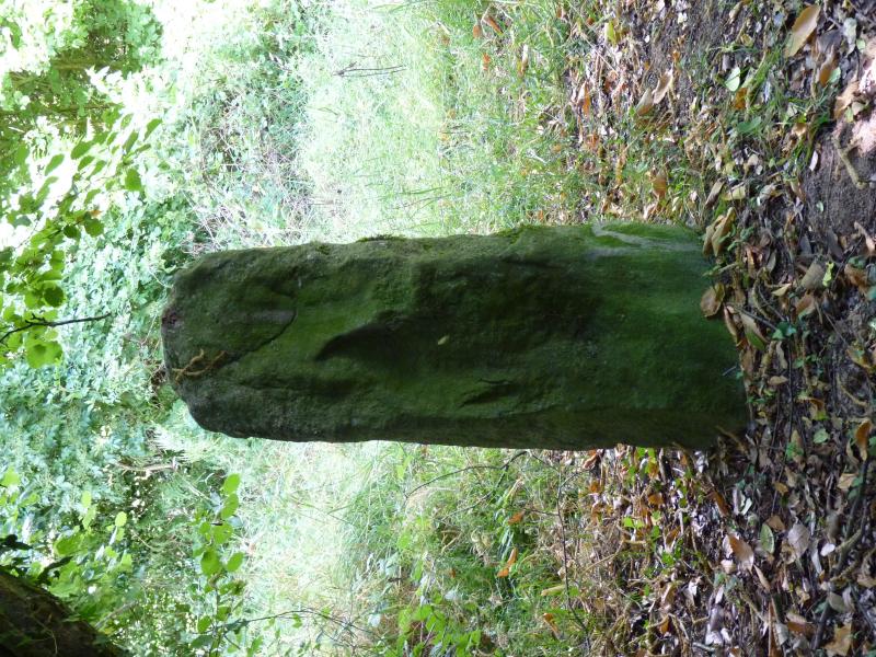 Deux menhirs de Kergoff, Boqueho