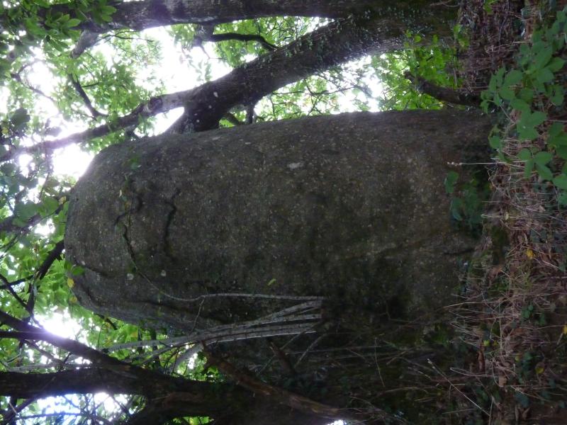 Menhir de Bodquelen, Canihuel