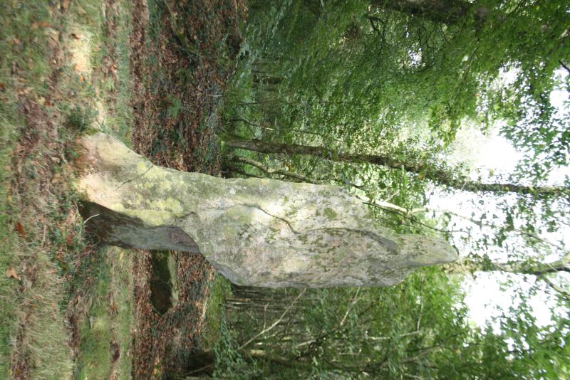 Menhir, Glomel
