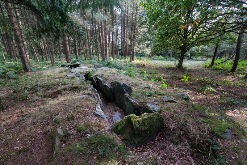 Sépulture mégalithique dite dolmen de Corn-er-Houët, Caurel