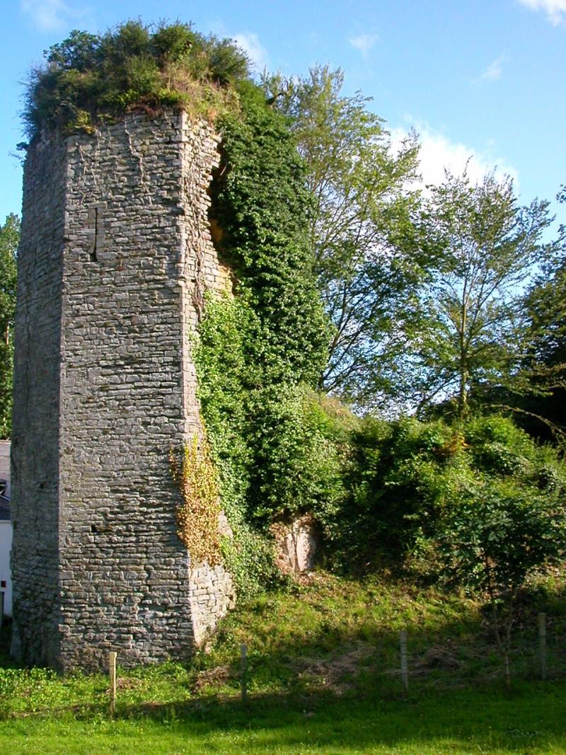 Ruines du château de La Chèze, La Chèze