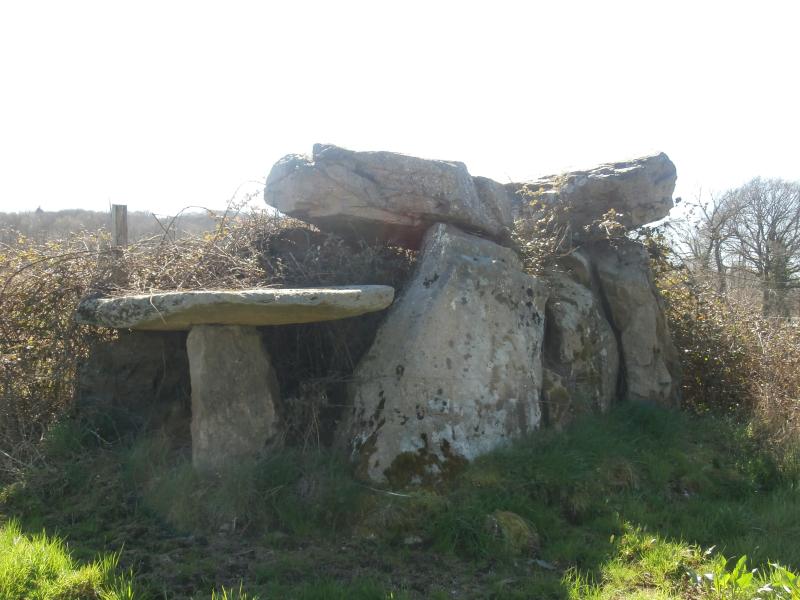Dolmen dit La Pierre Cuberte, Naillat