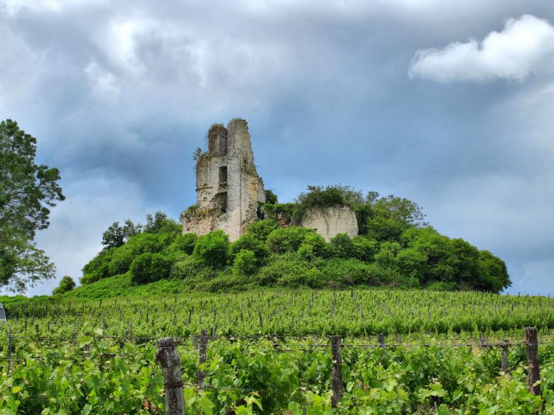 Ruines du château de Gurcon, Carsac-de-Gurson