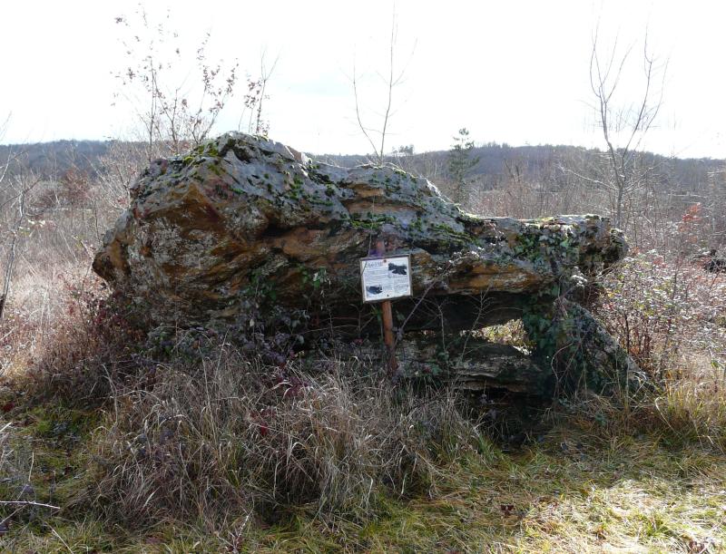 Dolmen de Peyre Levade, Condat-sur-Trincou