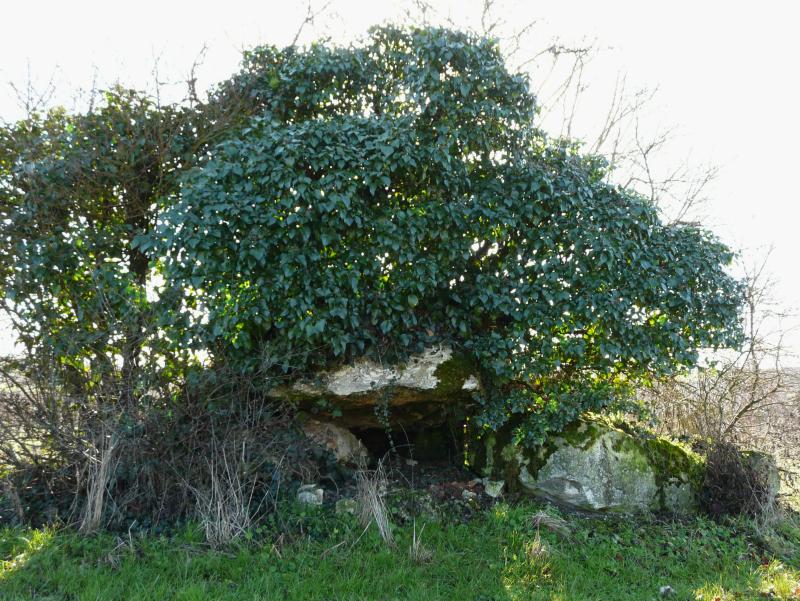 Dolmen d'Eylias, Eymet