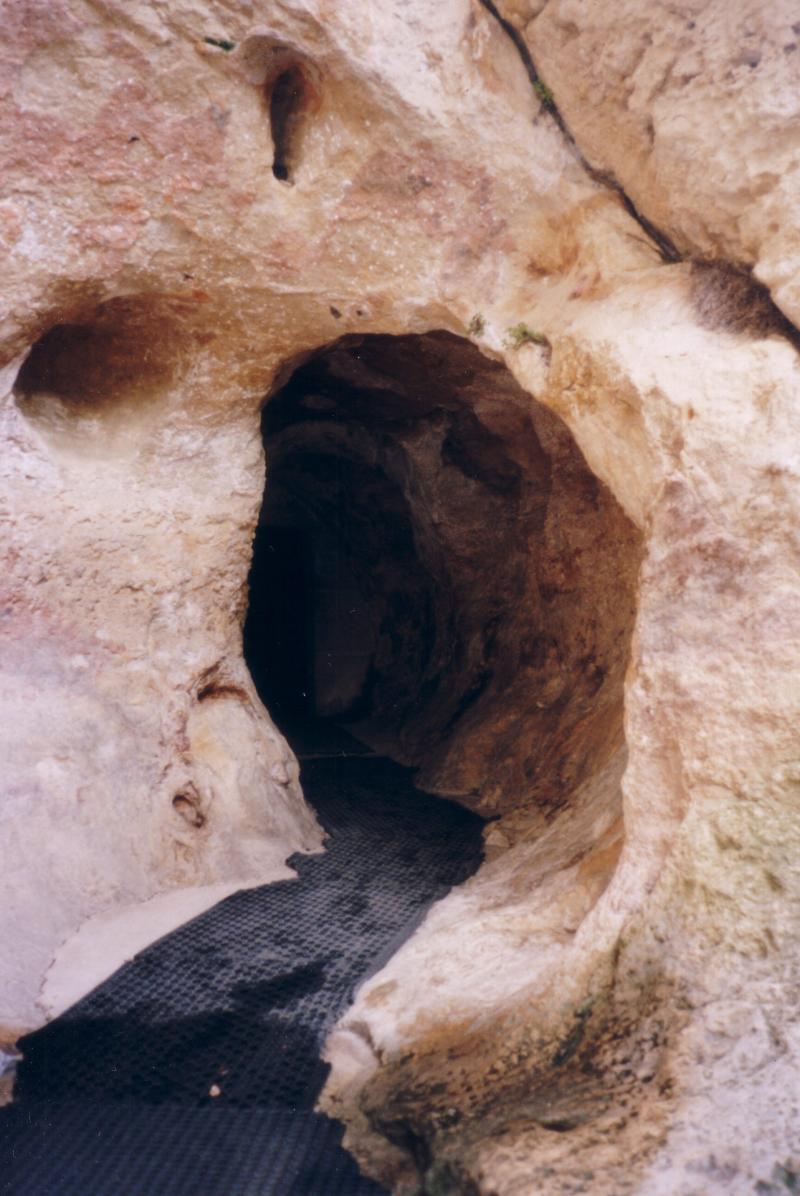 Grotte de Font-de-Gaume (grotte du Sourd), Les Eyzies