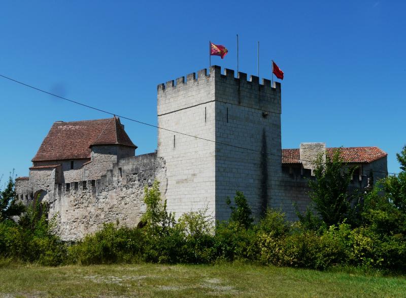 Château (restes), Grignols