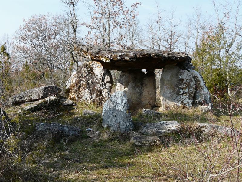 Dolmen de Peyrelevade, Paussac-et-Saint-Vivien