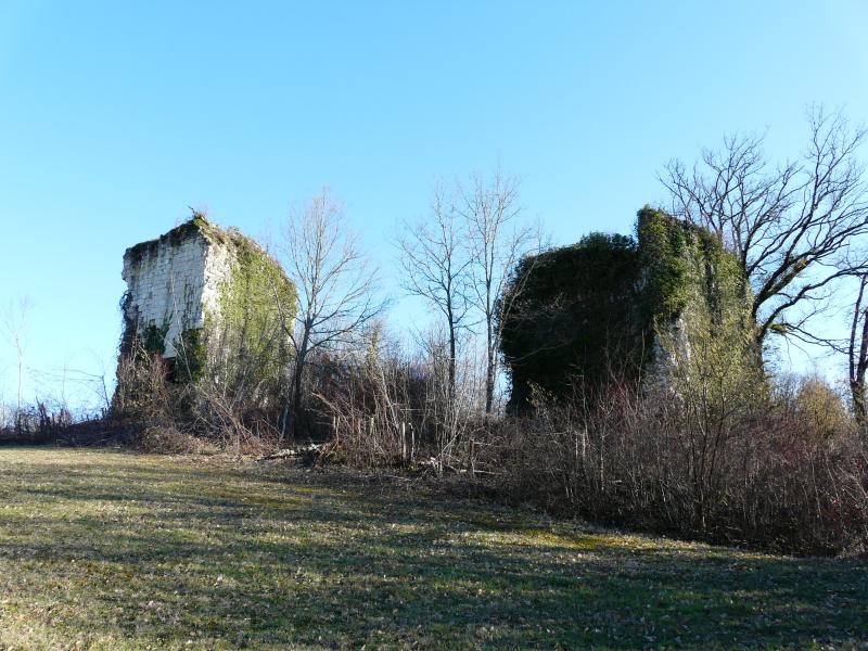 Donjon de Vernode, Tocane-Saint-Apre