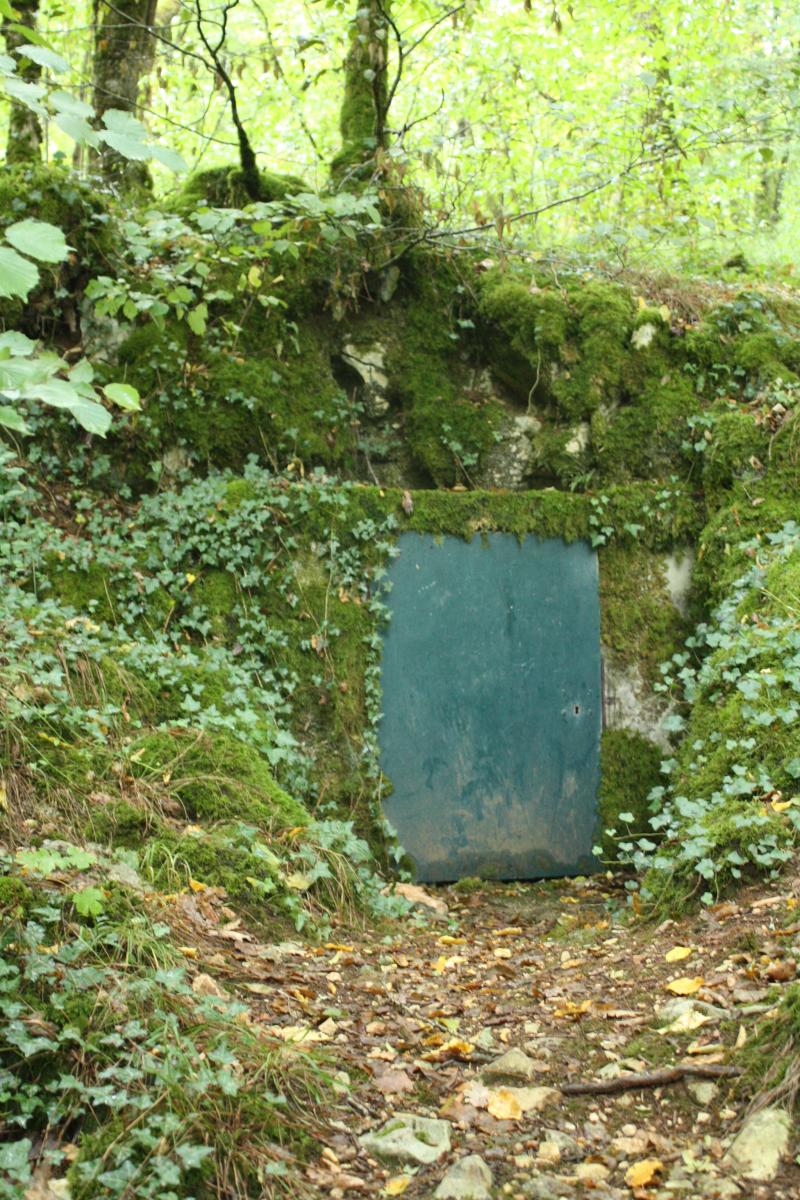 Grotte préhistorique du Cluzeau, Villars