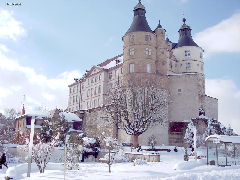 Château, Montbéliard