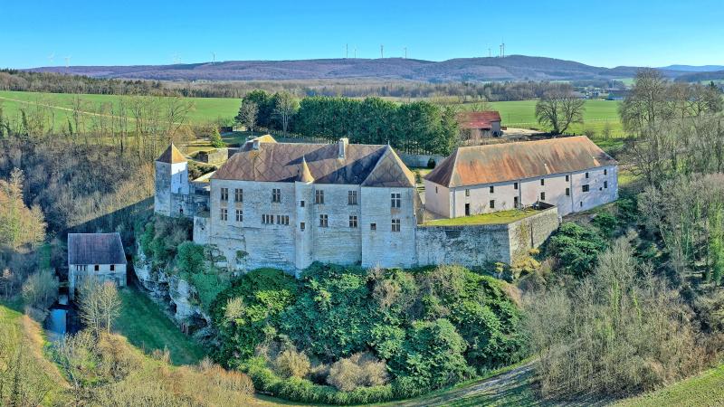 Château de la Roche, Rigney