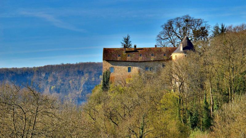 Château, Roulans