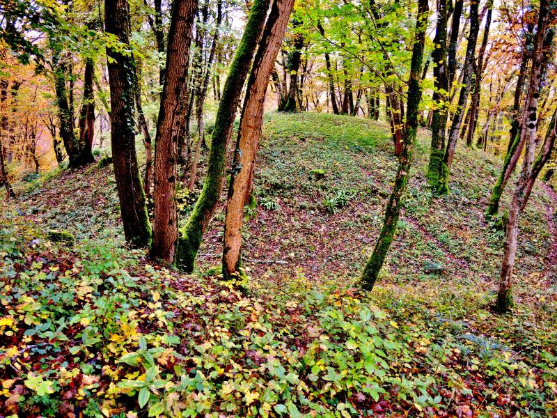 Motte castrale de " La Malatière ", Rang