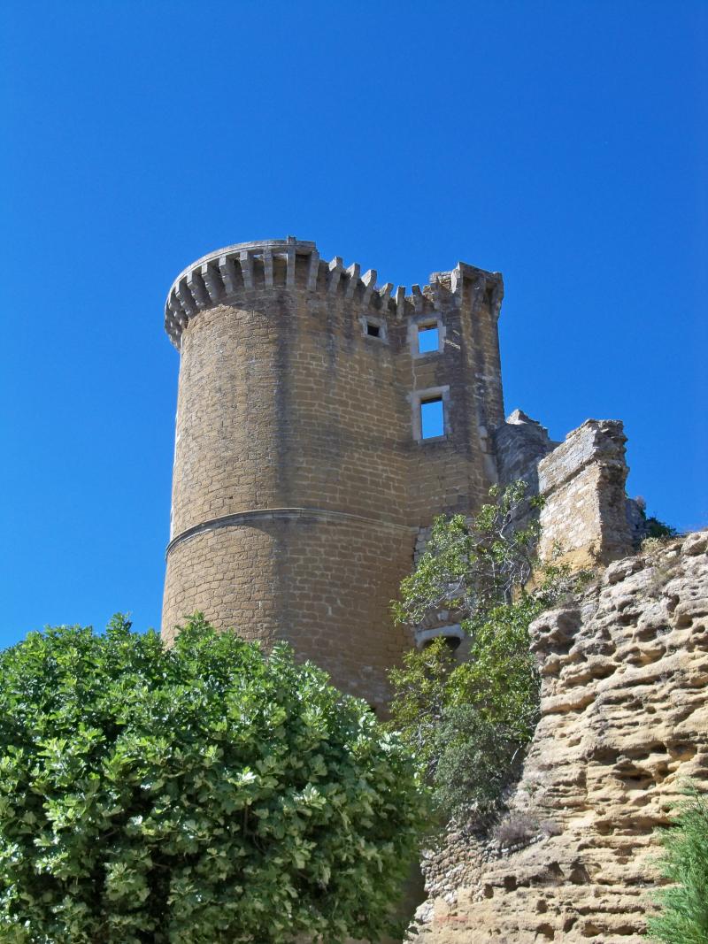 Château (ruines du), La Baume-de-Transit