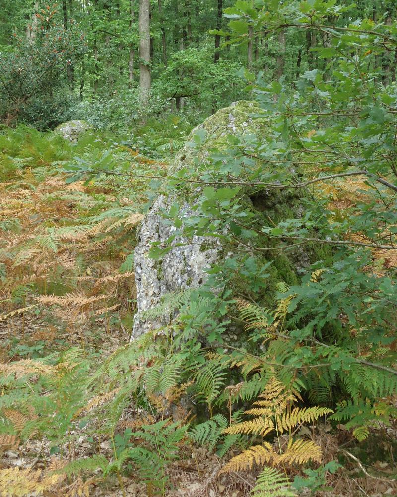 Alignement de trois menhirs, Les Baux-Sainte-Croix